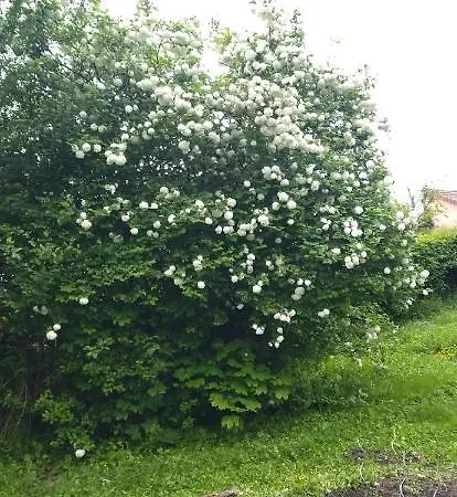 La Cigaliere Konukevi