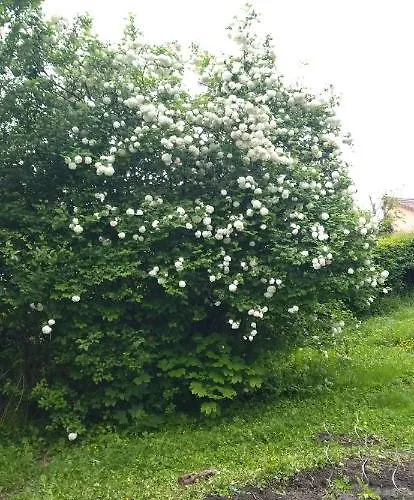 La Cigaliere Gæstehus